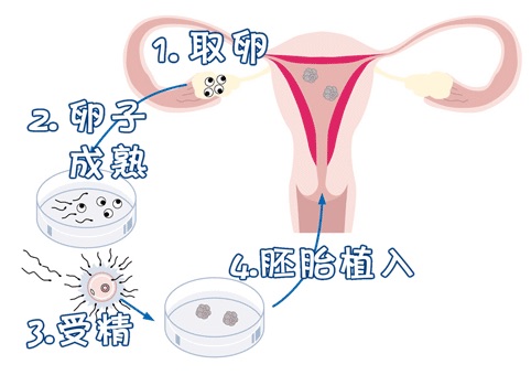 环境